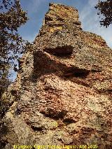 Pilar de los rganos