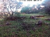 Noria de las Suertes de Miranda