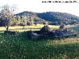 Noria de las Suertes de la Mesa del Rey