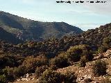 Alto del Cerro Quemado. Ladera norte
