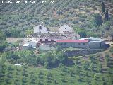 Cortijo del Menchn