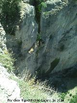 Cascada del Salto de los rganos. Desde su parte alta