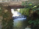 Aldea La Toba. Arroyo entre la poblacin