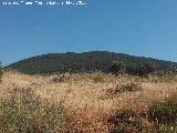 Loma de la Sarna