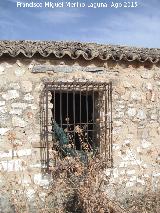 Cortijo de Torralba. Reja de rosetas