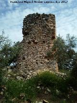 Castillo del Poyato. 