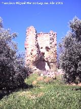 Castillo del Poyato. 