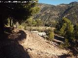 Casilla Cueva del Camino de Bercho. Entorno