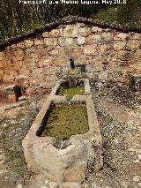 Fuente de Montefuerte