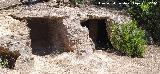 Casas Cueva del T�o Rat�n