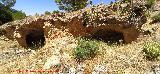 Casas Cueva del T�o Rat�n. 