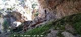 Cueva de las Grajas. 