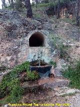 Fuente Bonales