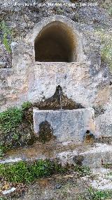 Fuente Bonales