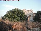 Cortijo Alto. Muro de sillar