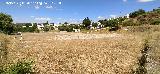 Campo de F�tbol del Centenillo. 
