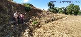 Campo de F�tbol del Centenillo. 