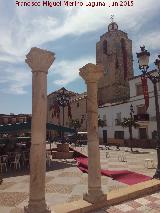 Plaza de la Constitucin. 