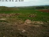 Oppidum Alarcos. Zona asentada sobre la antigua necrpolis