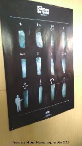 Dolmen de Soto. Poster de petroglifos del dolmen
