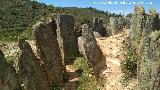 Dolmen del Pozuelo I. 