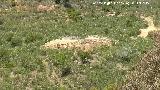 Dolmen del Pozuelo IV. Dlmenes 3 y 4