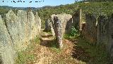 Dolmen del Pozuelo IV