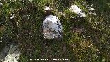 Dolmen del Pozuelo IV. Piedra blanca