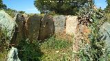 Dolmen del Pozuelo V. 