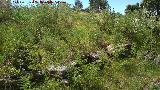 Dolmen del Pozuelo V. Anillo perimetral