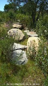 Dolmen del Pozuelo V. Ortostatos