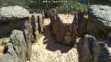 Dolmen del Pozuelo VII. 