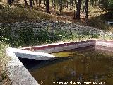 Fuente de la Zarza. 