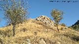 Castillo del Cerro de Atalaya. 