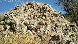 Castillo del Cerro de Atalaya. 