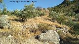 Castillo del Cerro de Atalaya. 