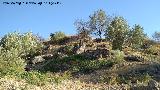 Castillo del Cerro de Atalaya. 