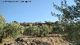 Castillo del Cerro de Atalaya. 