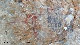 Pinturas rupestres del Abrigo de los Caones III. Zoomorfo