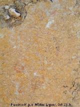 Pinturas rupestres del Abrigo de los Caones III. Restos de figura