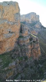 Pinturas rupestres del Abrigo de los Caones III. Vistas desde el abrigo
