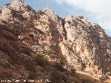 Pinturas rupestres del Abrigo de los Caones III. Vista de la zona donde se encuentra el abrigo