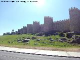 Muralla de vila. 
