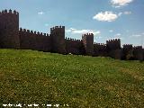 Muralla de vila. 