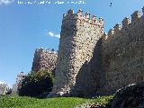 Muralla de vila. 