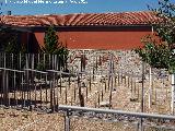 Convento del Carmen Calzado. Piezas arqueolgicas en el patio