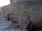 Palacio de los Verdugo. Verraco