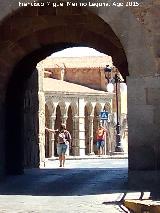 Baslica de San Vicente. 