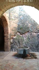 Mezquita Omeya. Patio