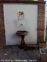 Fuente del Loro. 